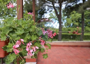 Terrazza - Rustico VICO MATRINO, Capranica - foto 14