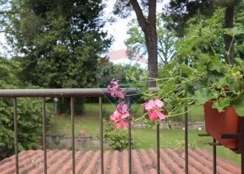 Giardino - Rustico VICO MATRINO, Capranica - foto 15