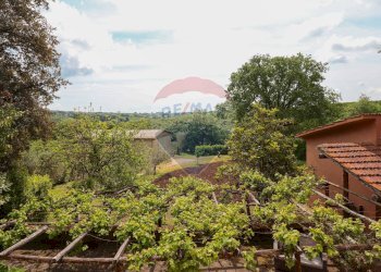 Giardino - Rustico VICO MATRINO, Capranica - foto 18