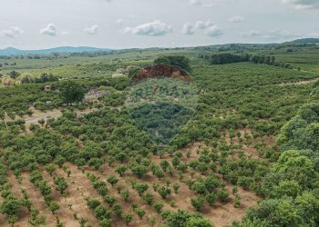 Vista delle montagne - Rustico VICO MATRINO, Capranica - foto 65