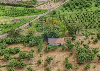 Giardino - Rustico VICO MATRINO, Capranica - foto 66