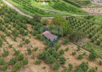 Giardino - Rustico VICO MATRINO, Capranica - foto 67