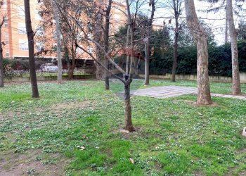 Giardino - Trilocale Via Delle Azzorre
 
340, Roma - foto 9