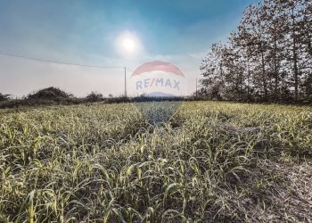 Giardino - Casa indipendente Via Cascina Cadè, Vercelli - foto 60