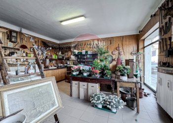 Cucina - Casa indipendente Piazza Trenta Trentuno Maggio
 
15, Palestro - foto 4