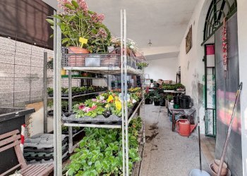 Terrazza - Casa indipendente Piazza Trenta Trentuno Maggio
 
15, Palestro - foto 8