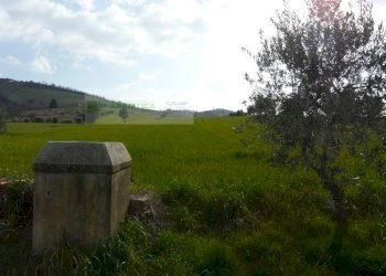 Foto 3 - Rustico strada provinciale, Torano Nuovo - foto 3