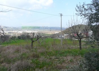 Foto 8 - Rustico strada provinciale, Torano Nuovo - foto 8