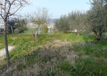 Foto 14 - Rustico strada provinciale, Torano Nuovo - foto 14