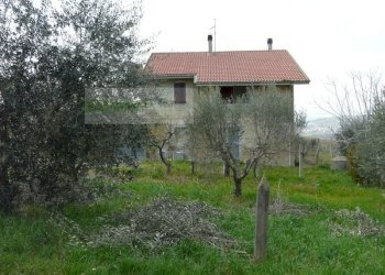 Foto 17 - Rustico strada provinciale, Torano Nuovo - foto 17