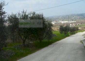 Foto 20 - Rustico strada provinciale, Torano Nuovo - foto 20