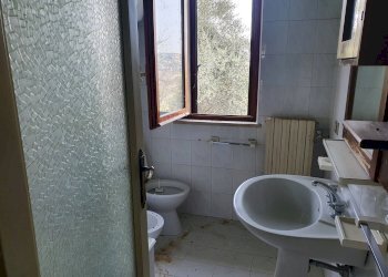 Foto 42 - Rustico strada provinciale, Torano Nuovo - foto 42