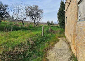 Foto 43 - Rustico strada provinciale, Torano Nuovo - foto 43