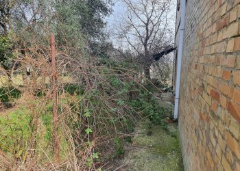 Foto 44 - Rustico strada provinciale, Torano Nuovo - foto 44