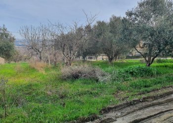 Foto 47 - Rustico strada provinciale, Torano Nuovo - foto 47