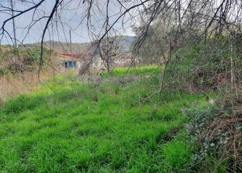 Foto 49 - Rustico strada provinciale, Torano Nuovo - foto 49