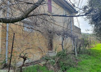 Foto 52 - Rustico strada provinciale, Torano Nuovo - foto 52