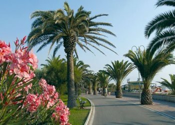 Foto 8 - Attività Commerciale roma, Martinsicuro - foto 8