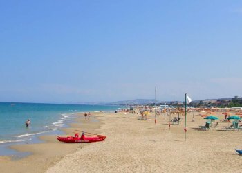 Foto 13 - Attività Commerciale roma, Martinsicuro - foto 13