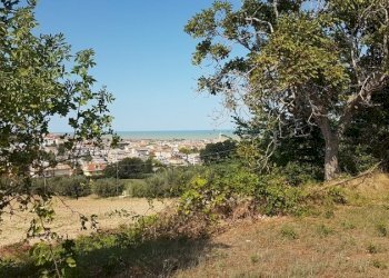 Foto 31 - Villa a Schiera VALLE DEL FORNO, San Benedetto del Tronto - foto 31