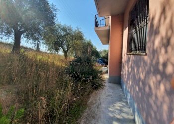 Foto 12 - Casa indipendente colle di cadibona, San Benedetto del Tronto - foto 12