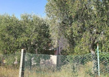 Foto 38 - Casa indipendente colle di cadibona, San Benedetto del Tronto - foto 38