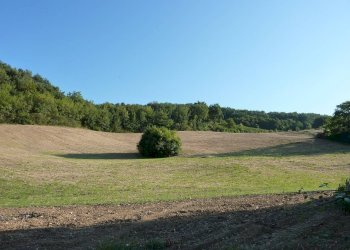 Foto 1 - Terreno agricolo Ripatransone - foto 1