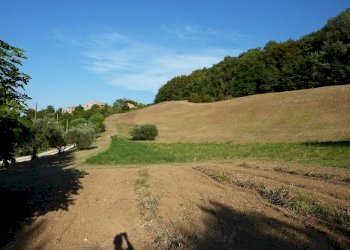 Foto 2 - Terreno agricolo Ripatransone - foto 2