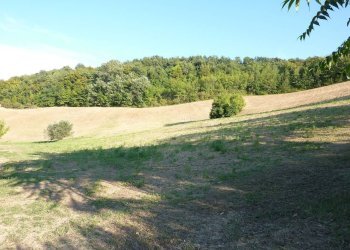 Foto 3 - Terreno agricolo Ripatransone - foto 3