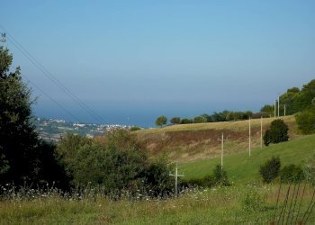 Foto 7 - Terreno agricolo Ripatransone - foto 7