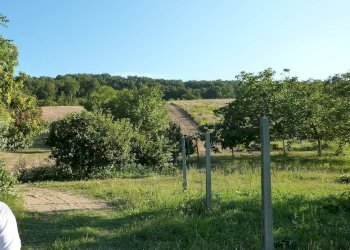 Foto 8 - Terreno agricolo Ripatransone - foto 8