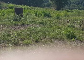 Foto 9 - Terreno edificabile contrada Valle del forno, San Benedetto del Tronto - foto 9