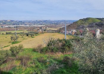 Foto 5 - Agricultural land contrada taiano, Controguerra - photo 5