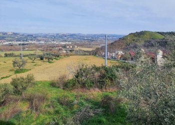 Foto 8 - Agricultural land contrada taiano, Controguerra - photo 8