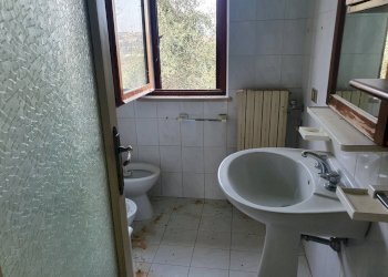 Foto 13 - Agricultural land contrada taiano, Controguerra - photo 13