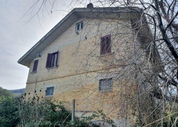 Foto 25 - Agricultural land contrada taiano, Controguerra - photo 25