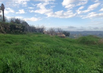 Foto 32 - Villa strada provinciale 175, Acquaviva Picena - foto 32