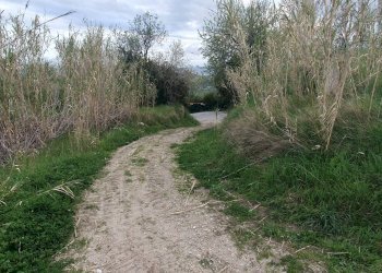 Foto 36 - Villa strada provinciale 175, Acquaviva Picena - foto 36