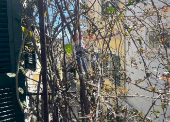 Edificio all\'aperto - Casa semi indipendente via Dottor Venanzio Marone, Lacco Ameno - foto 56