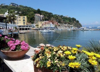 Vista dell\'acqua - Villa Lacco Ameno - foto 33