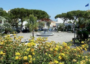 Giardino - Villa Lacco Ameno - foto 35