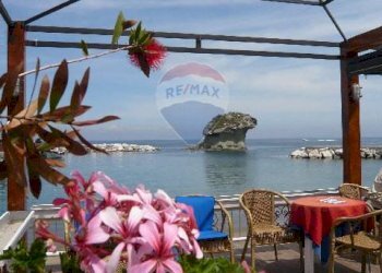 Fungo di Lacco Ameno - Villa Lacco Ameno - foto 36