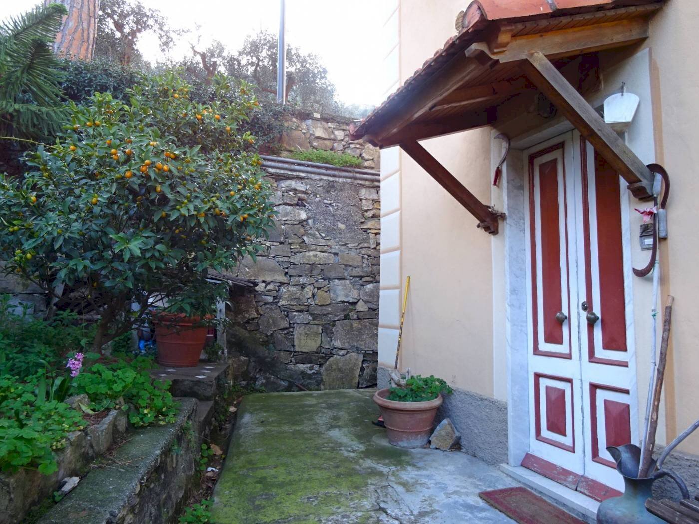 GIARDINO - Quadrilocale via Franco Molfino, Camogli - foto 2