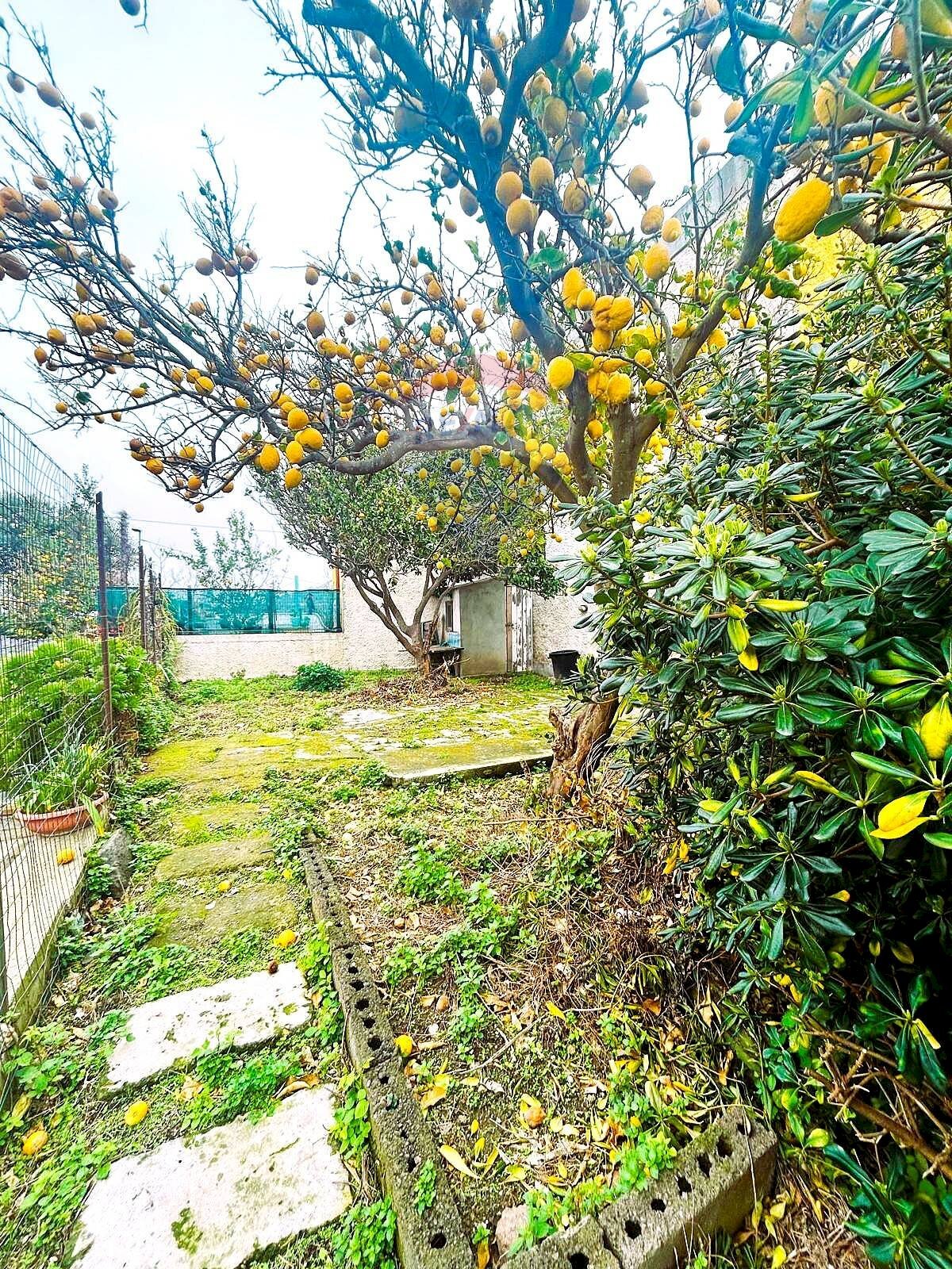 Giardino - Quadrilocale Via San Gennaro, Forio - foto 1