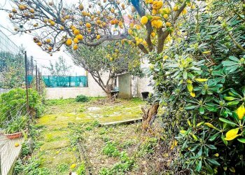 Giardino - Quadrilocale Via San Gennaro, Forio - foto 1