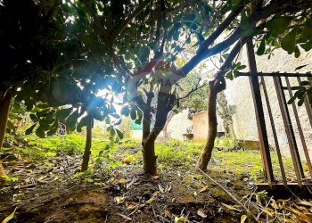 Giardino - Quadrilocale Via San Gennaro, Forio - foto 9