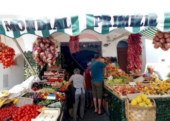 Non correlato - Quadrilocale Via San Gennaro, Forio - foto 23