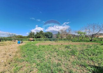 Giardino - Trilocale via Ponte Annibale
 
2, Capua - foto 19