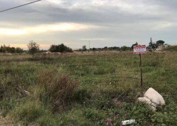 Foto 4 - Terreno agricolo Contrada Pilarossa
 
snc, San Nicandro Garganico - foto 4