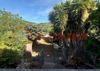 Foto 13 - Stabile - Palazzo Loc. FORMITELLE
 
1, Vico del Gargano - foto 13